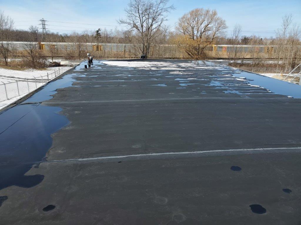 Local 17 - Jameson Roofing